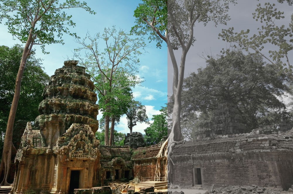 Máy ảnh Canon R8 Mark II