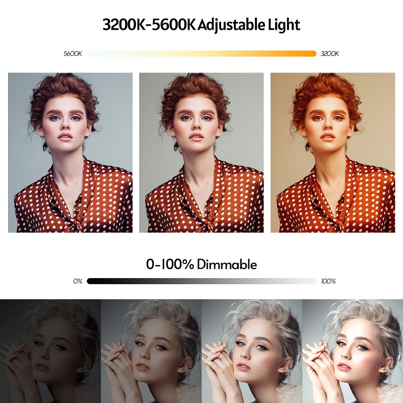 Đèn Nicefoto Led 2000B III video light 3200k hoặc 5600k Chính Hãng