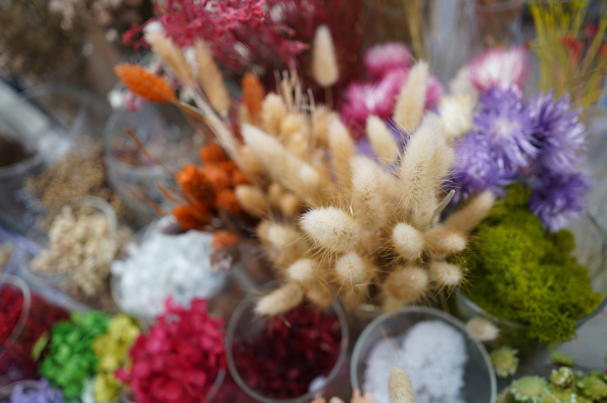 Ống kính Sony FE 24mm f/2.8 G